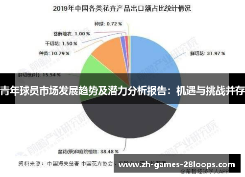 青年球员市场发展趋势及潜力分析报告：机遇与挑战并存